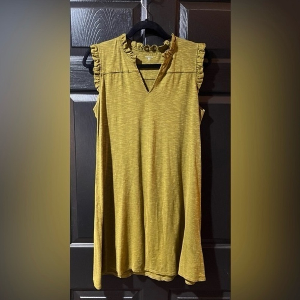 Garnet Hill Shift Dress
